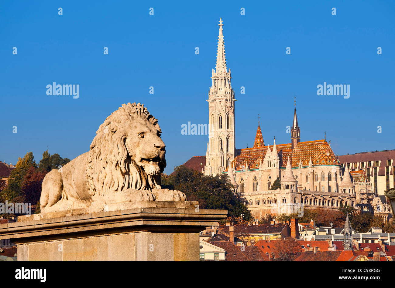 Budapest, Lion Sculpture sur le Pont des Chaînes par Janos Marschalko et l'église Matthias Banque D'Images