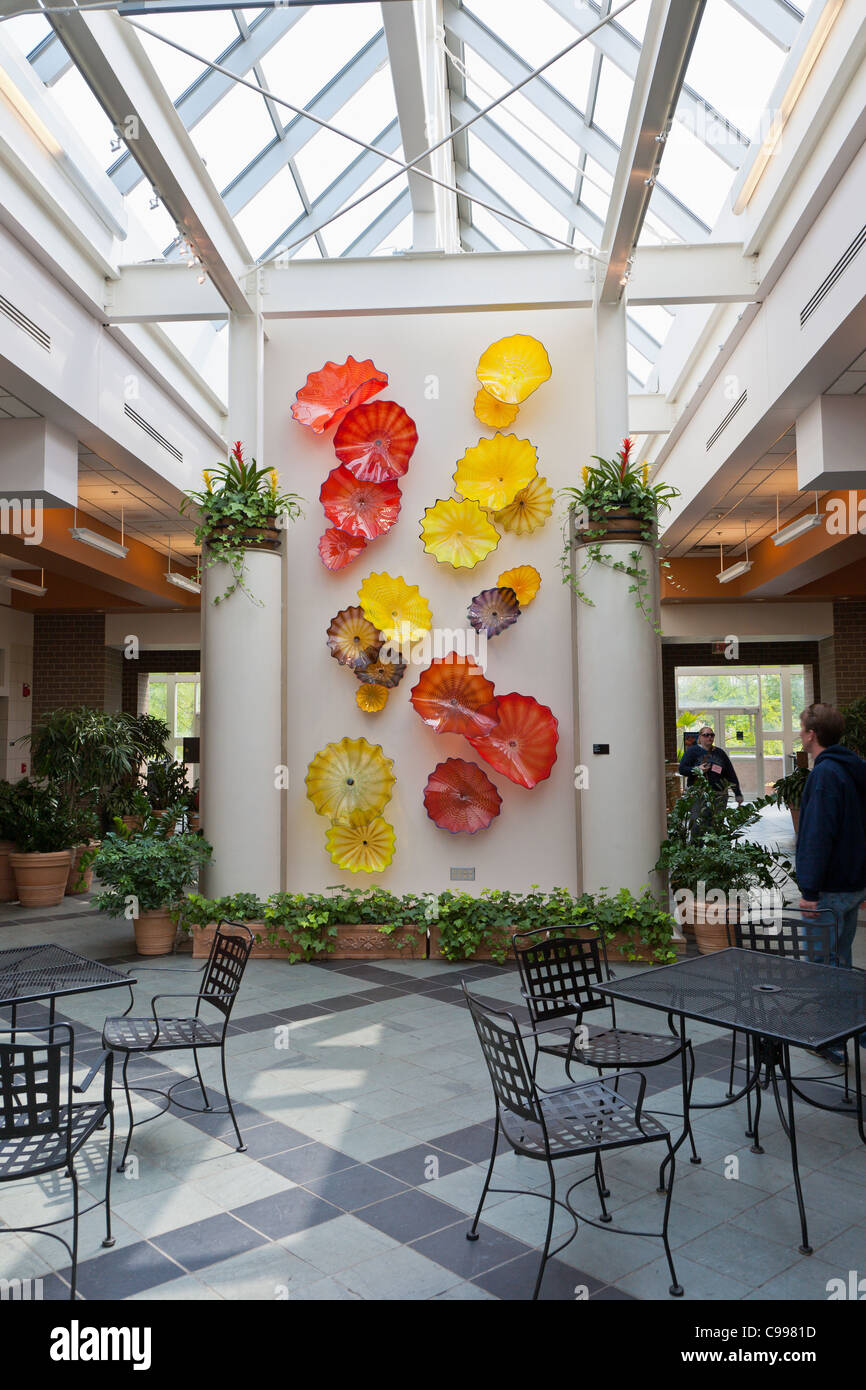 Dale Chihuly glass wall Flower sculpture au Franklin Park Conservatory à Columbus, Ohio. Banque D'Images