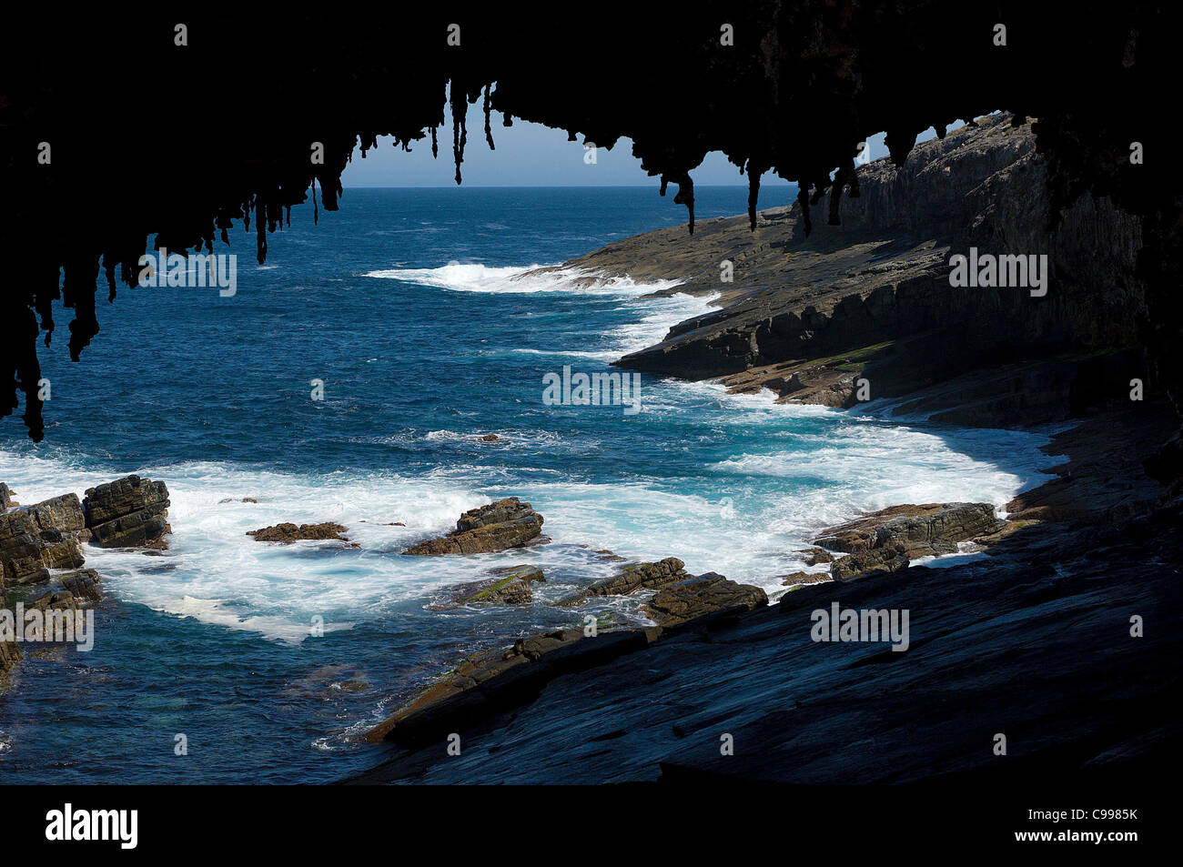 Admirals Arch à Cape du Couedic, Kangaroo Island, Australie, offre un cadre spectaculaire pour une mousse bleu océan parsemé de scène. Banque D'Images