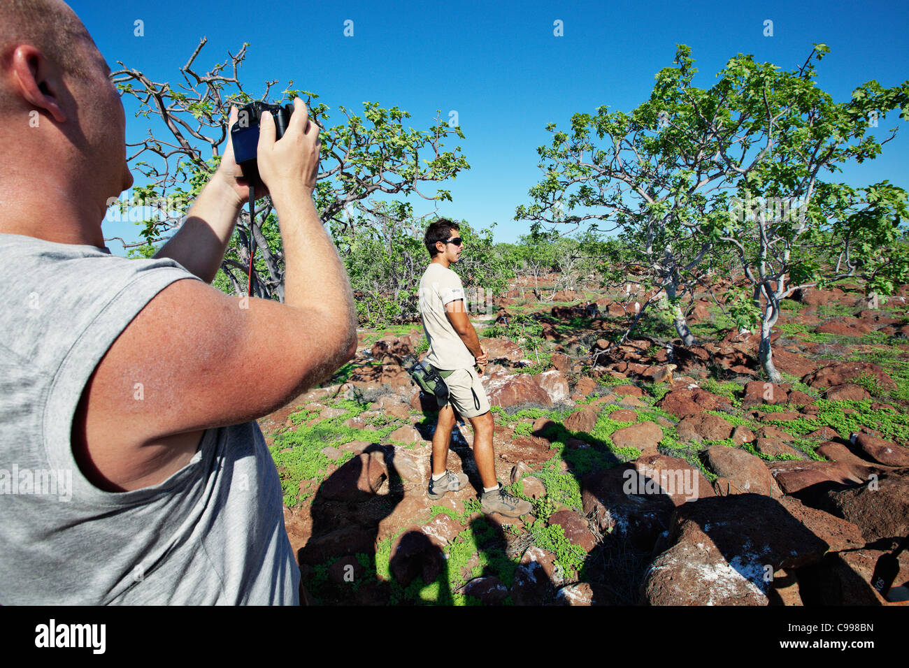 Regarder un groupe de touristes sur l'iguane terrestre des Galapagos, l'île Seymour Nord, l'Équateur. Banque D'Images