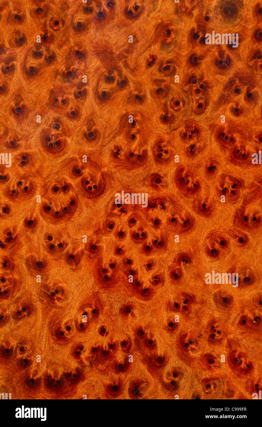 Thuya wood decor Banque de photographies et d’images à haute résolution Alamy