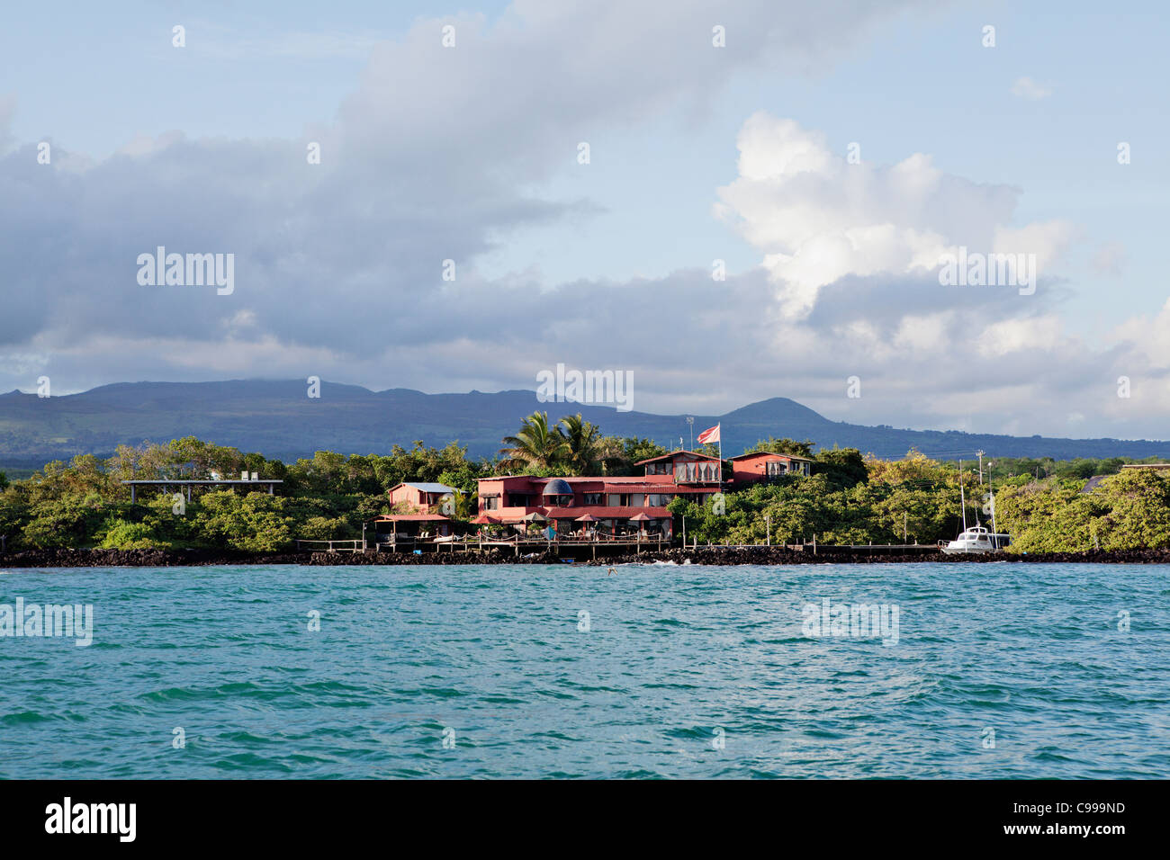 Hôtel Mangrove rouge sur l'île Santa Cruz, Galapagos, Equateur. Banque D'Images