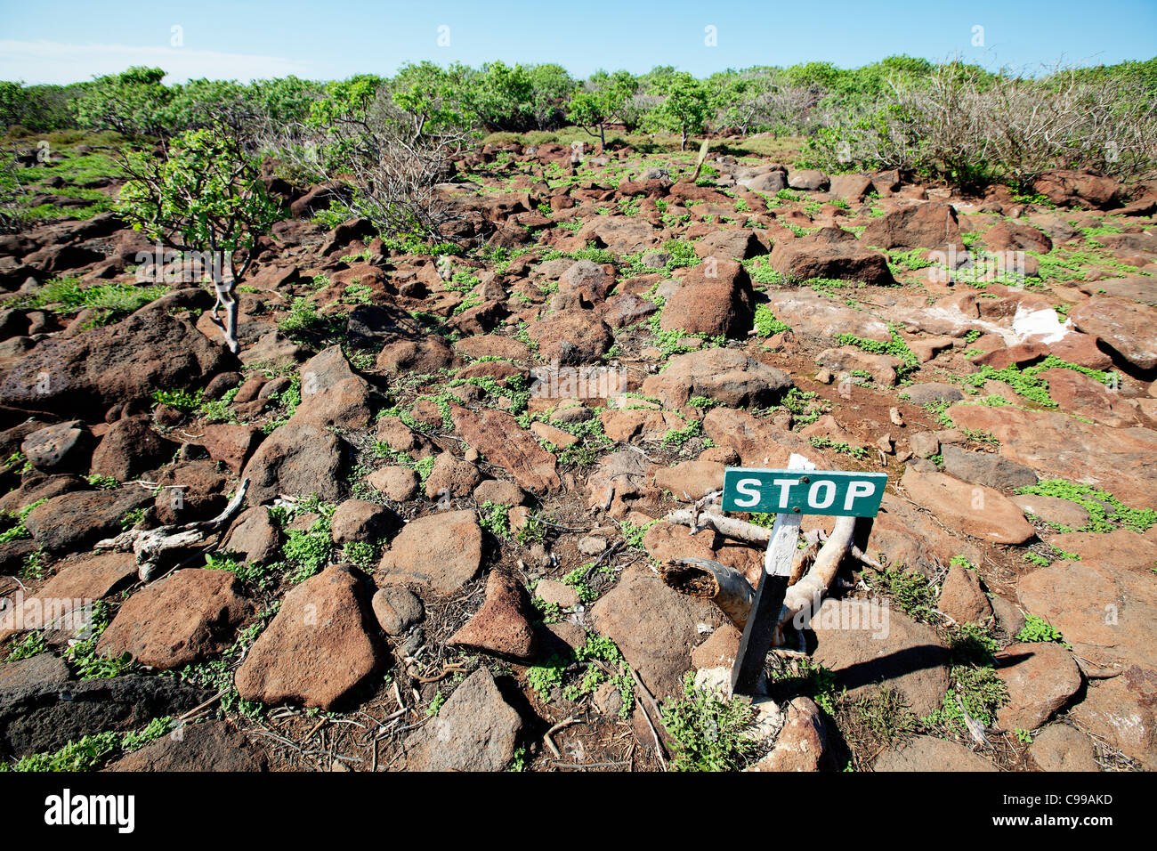 Les touristes doivent rester sur le chemin balisé de l'île Seymour Nord, Galapagos, Equateur. Banque D'Images