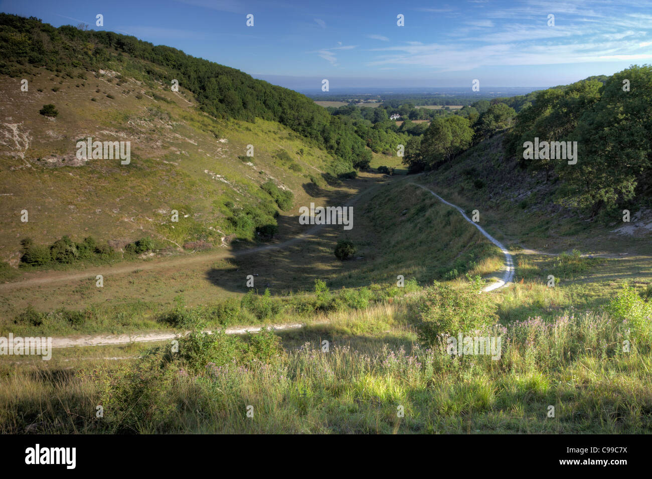 Sentier par Devil's Dyke, West Sussex Banque D'Images