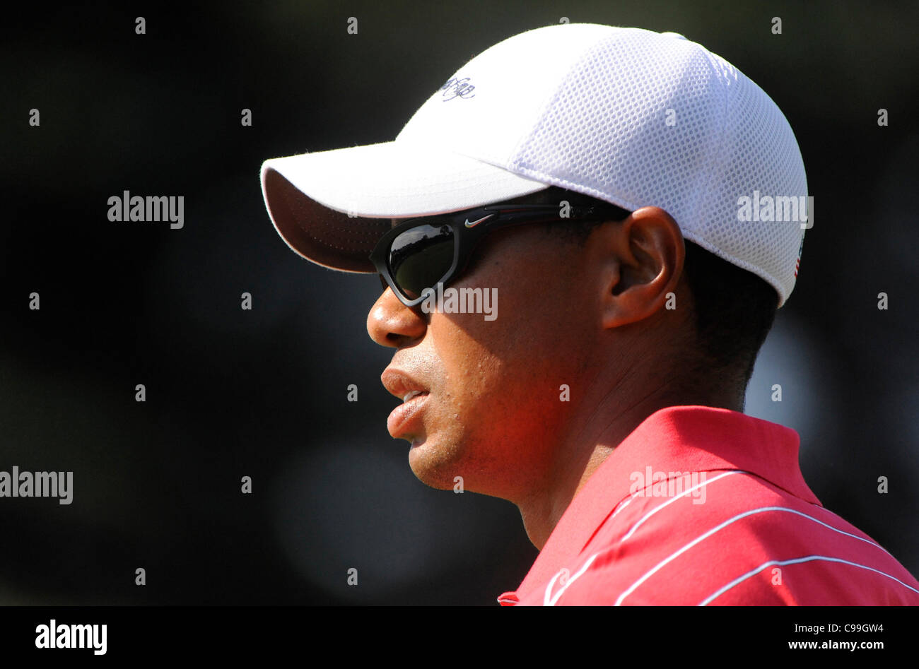 18.11.2011, Melbourne, Australie. Un profil de Tiger Woods à la Coupe des Présidents. Verset de l'Amérique du reste du monde à l'exception de l'Europe joué au Royal Melbourne Golf Club. Banque D'Images