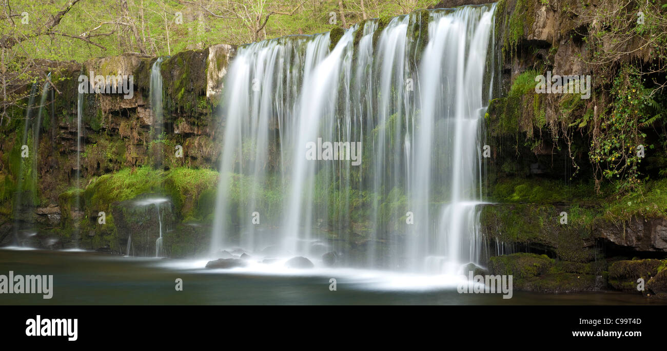 Forest River et cascade, Pays de Galles, Royaume-Uni Banque D'Images