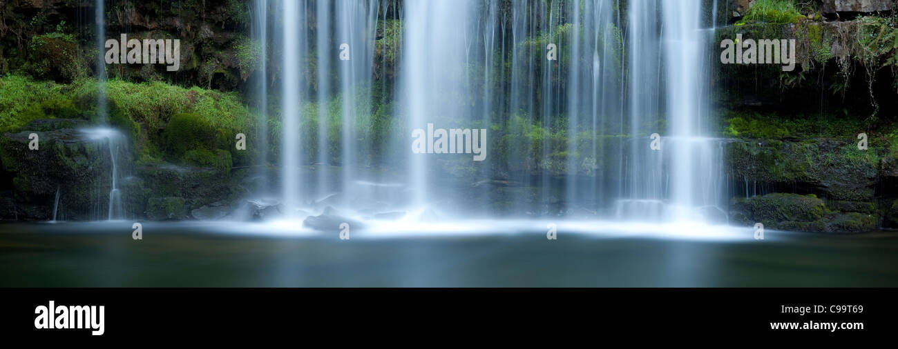 Forest River et cascade, Pays de Galles, Royaume-Uni Banque D'Images