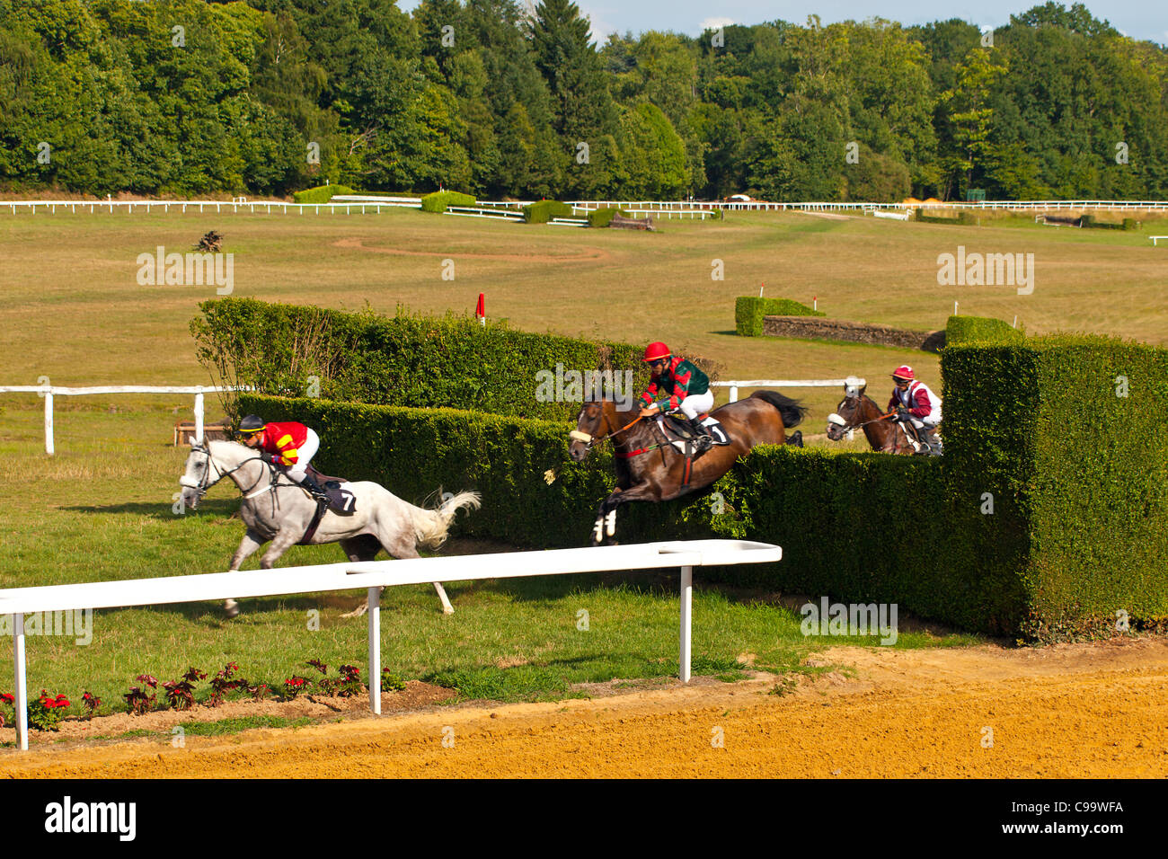 Courses hippiques à l'Hippodrome de Pompadour Banque D'Images