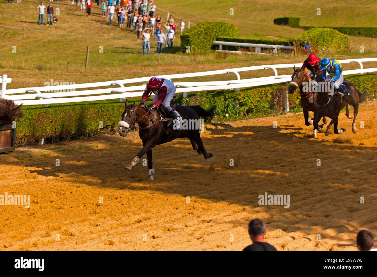 Courses hippiques à l'Hippodrome de Pompadour Banque D'Images