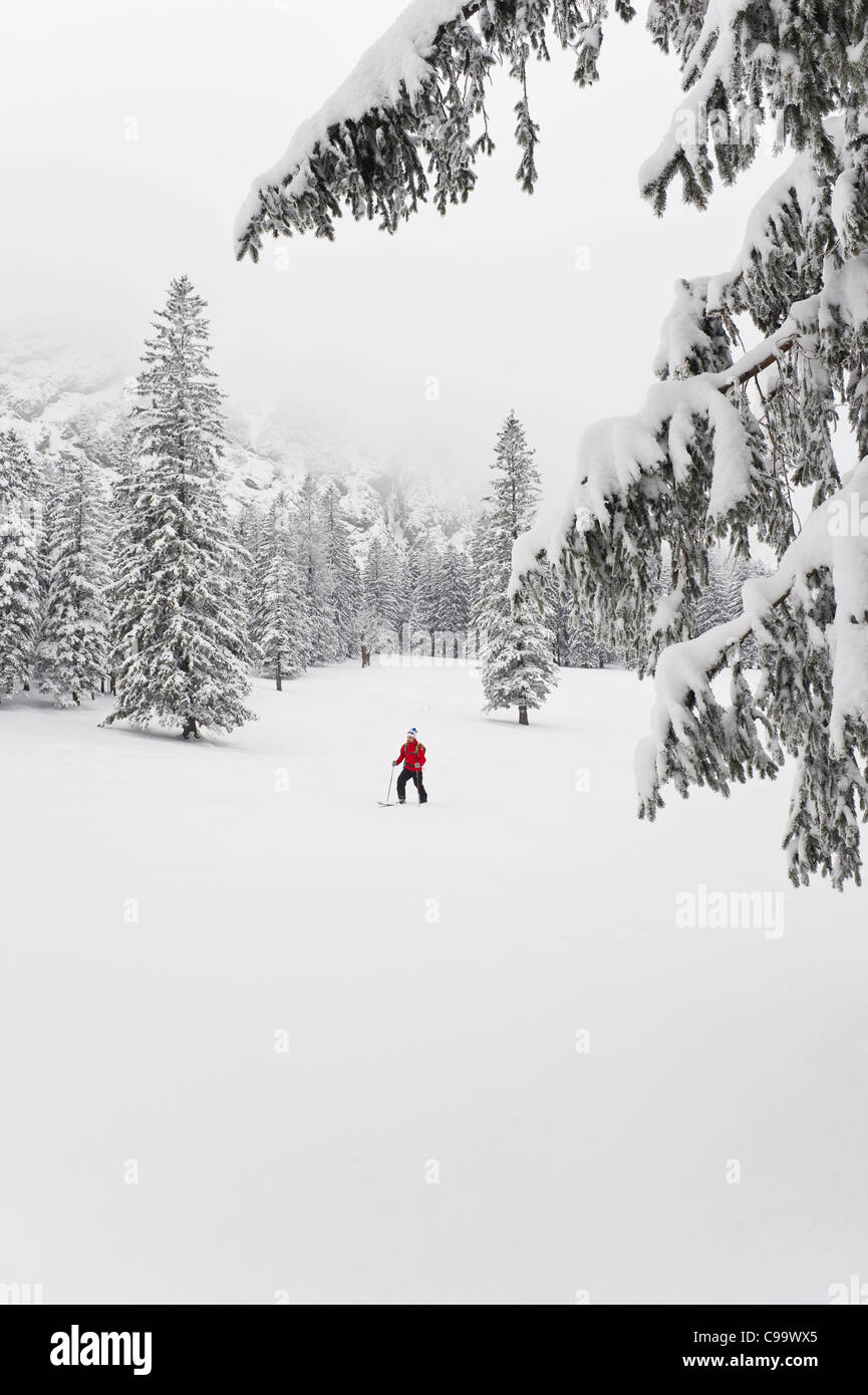 Allemagne, Bavière, jeune homme faisant telemark à Italia forêt de montagne Banque D'Images
