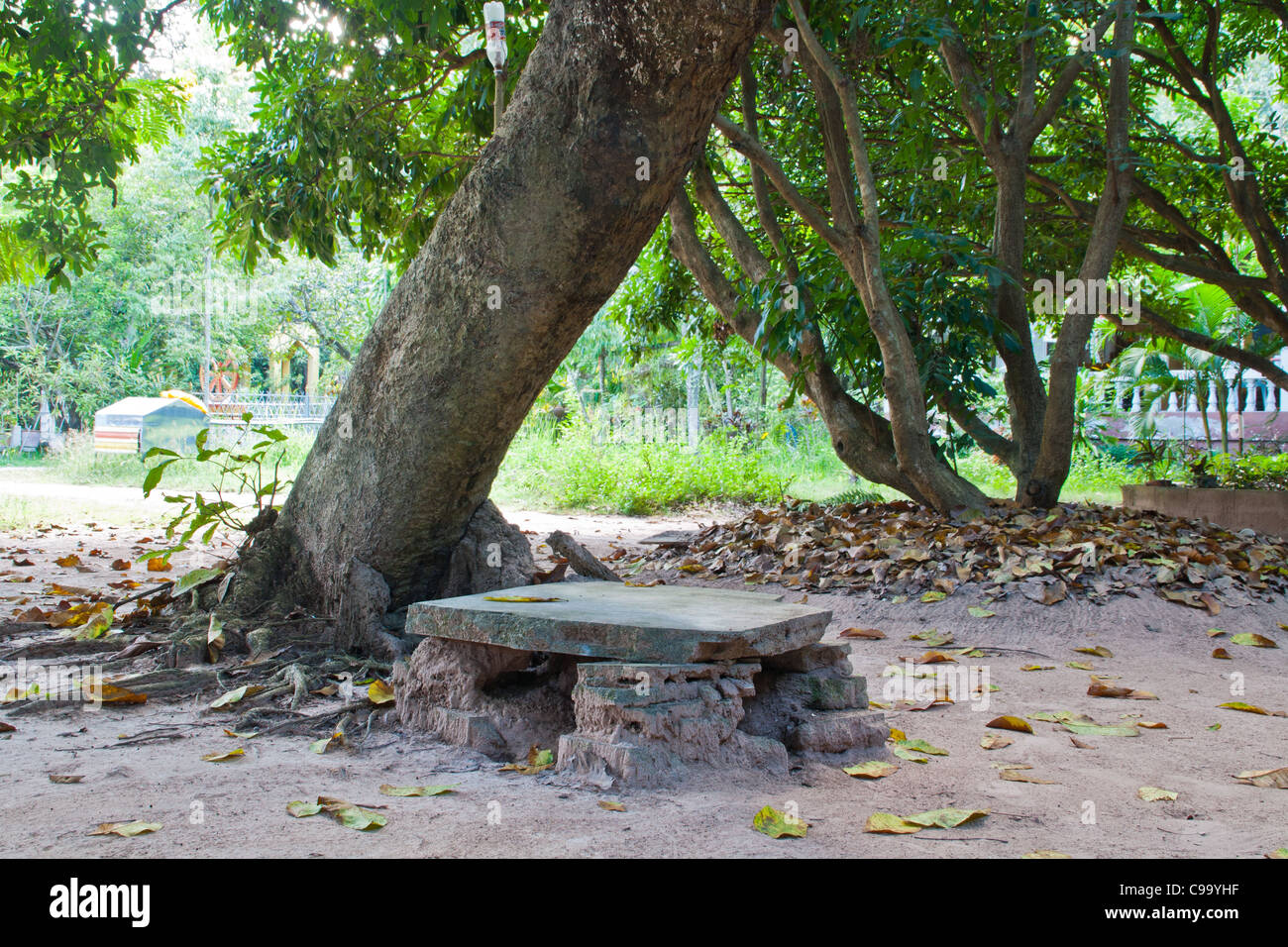 Siège de pierre naturelle dans le jardin. Le nord de la Thaïlande. Banque D'Images