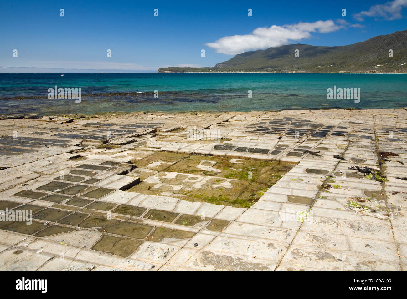 L'on Pavement - une formation rocheuse naturelle sur la péninsule de Tasman. La Tasmanie, Australie Banque D'Images