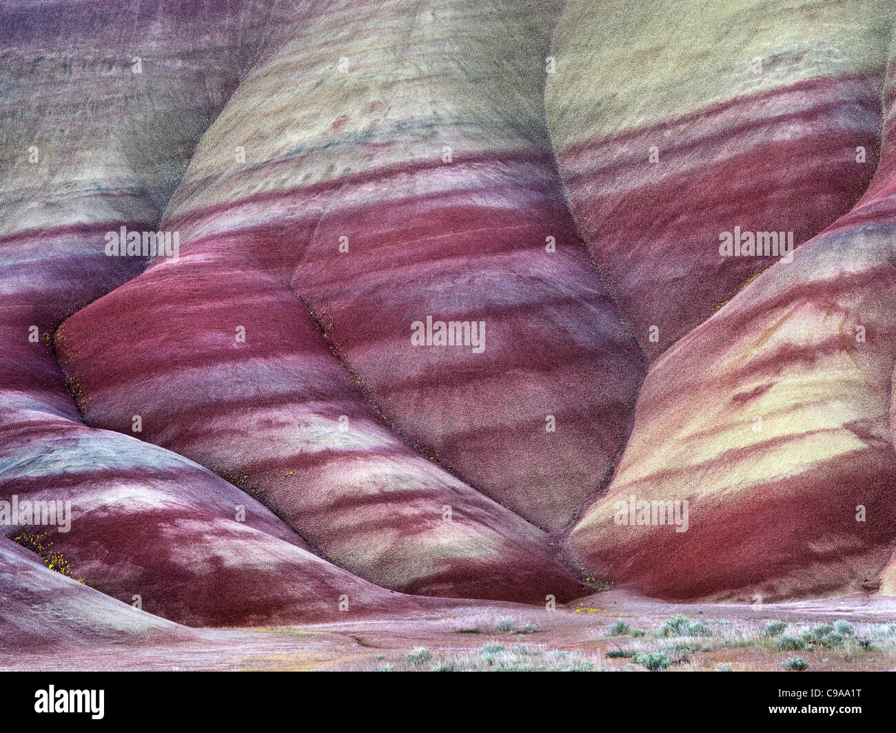 Close up of Painted Hills. John Day Fossil jumeaux National Monument. Oregon Banque D'Images