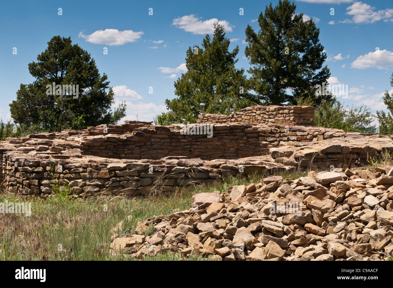 Maison, grande piste de Kiva, Chimney Rock Zone Archéologique, Pagosa Springs (Colorado). Banque D'Images