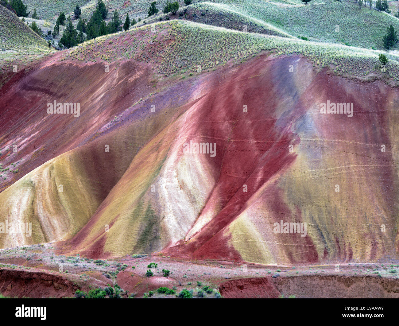 Collines peintes. John jour Foissil jumeaux National Monument. Oregon Banque D'Images