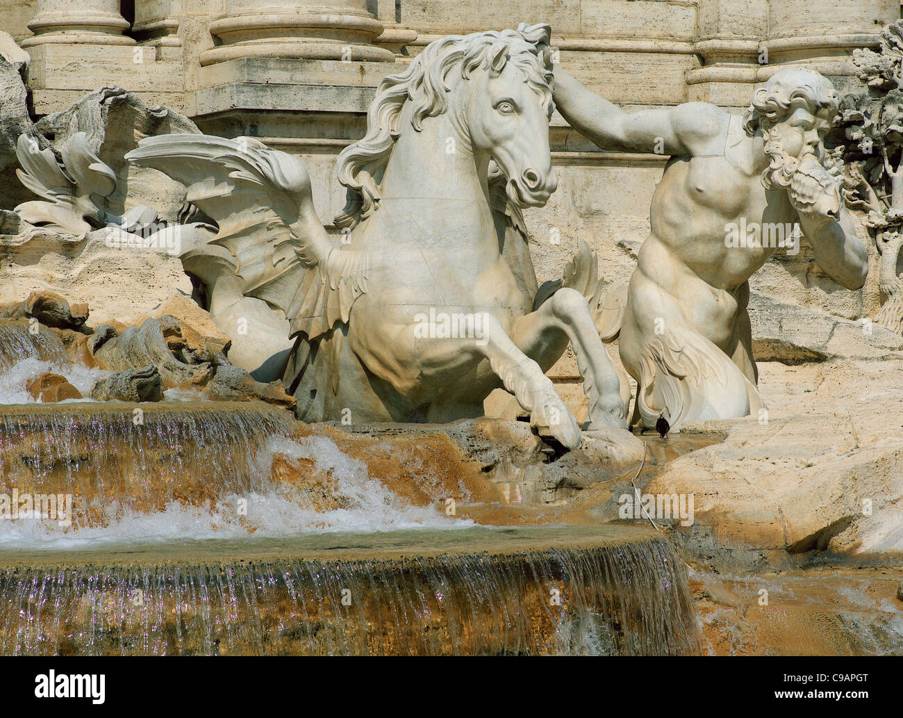 Fontaine de Trevi Fontana di Trevi Rome Banque D'Images