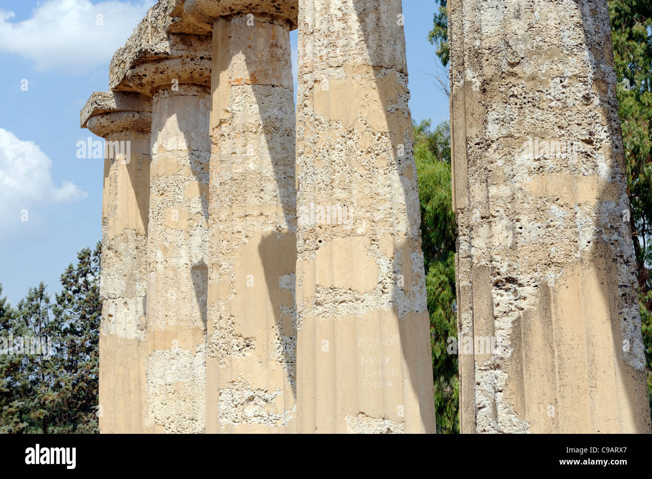 Metapontion. La Basilicate. L'Italie. Vue détaillée de la colonnade du temple dorique grec d'Hera datant du milieu du 6ème siècle Banque D'Images