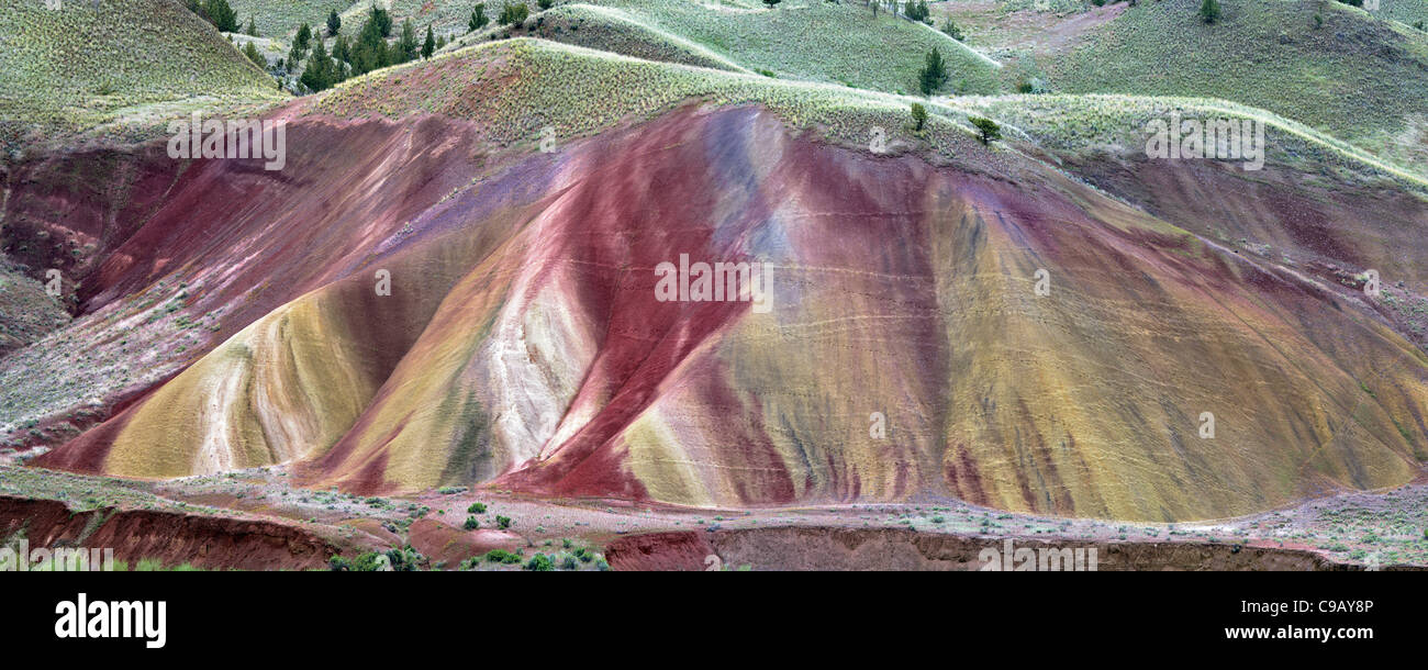 Collines peintes. John jour Foissil jumeaux National Monument. Oregon Banque D'Images