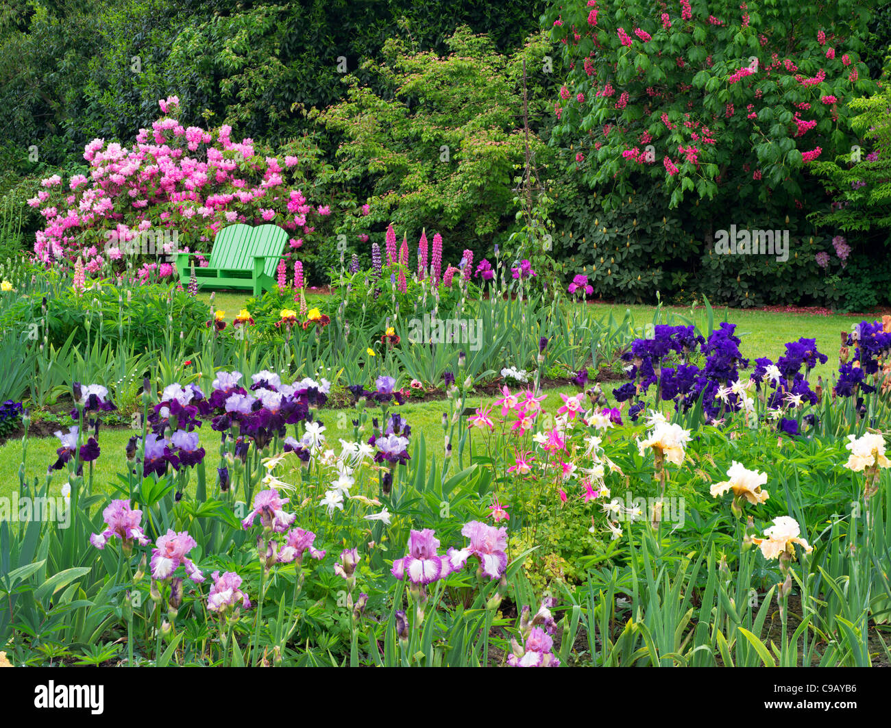 Iris et autres plantes à fleurs avec chaise à Schriners Jardin d'Iris. Oregon Banque D'Images