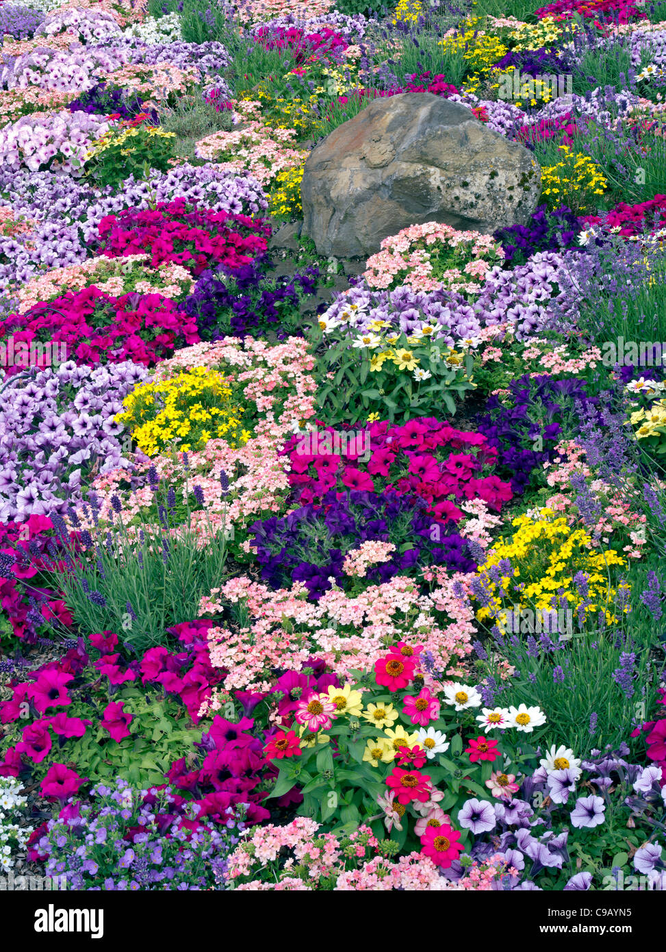 Fleurs mixtes en aménagement paysager à Al's Nursery, Oregon Banque D'Images