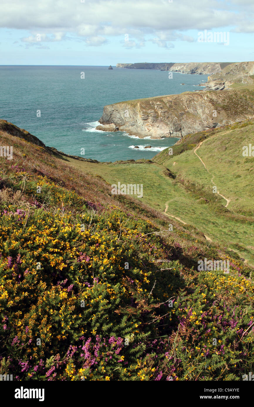 Point de vue Ranie ; Port Isaac Bay, Cornwall, UK Banque D'Images