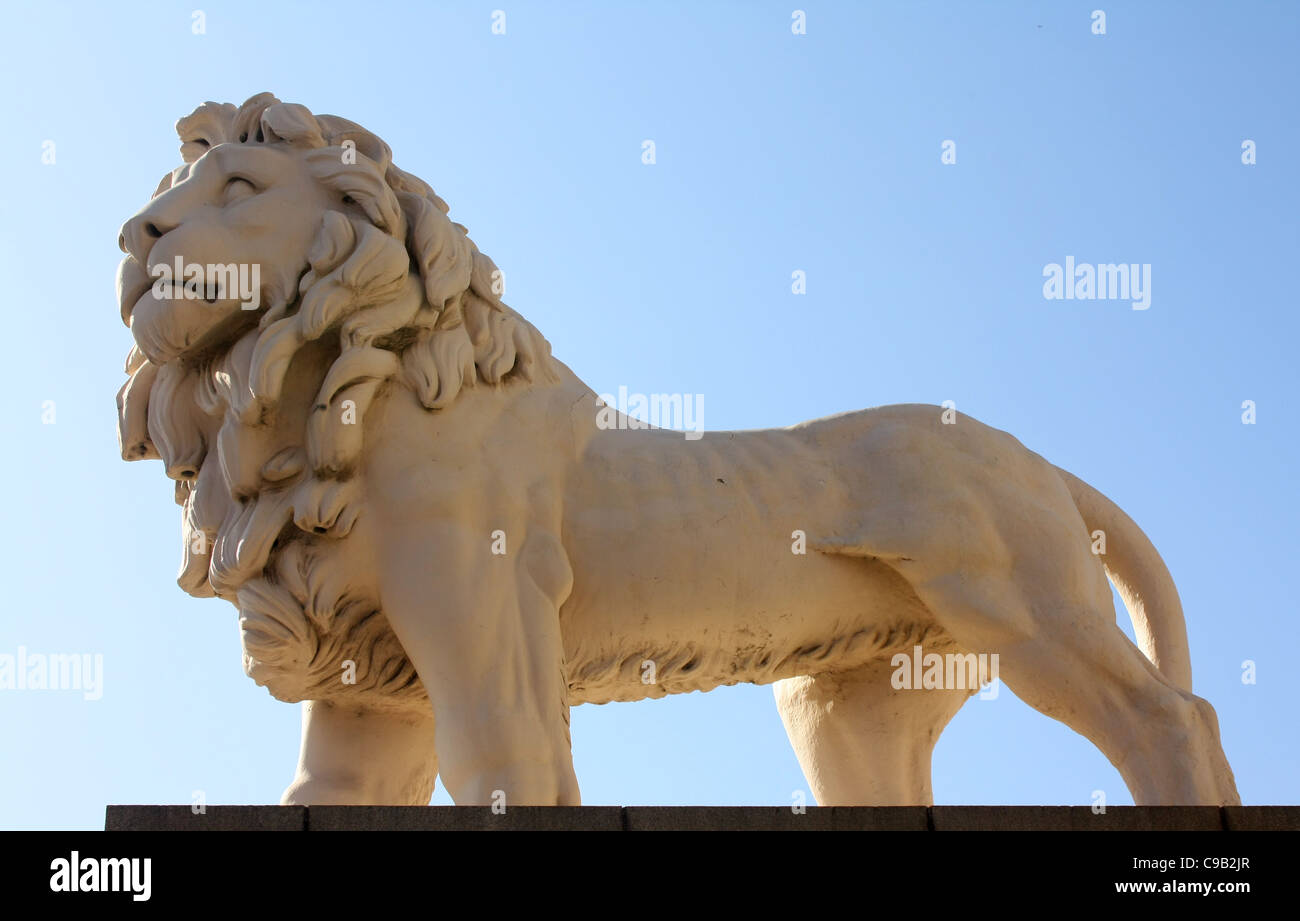 Lion Banque D'Images