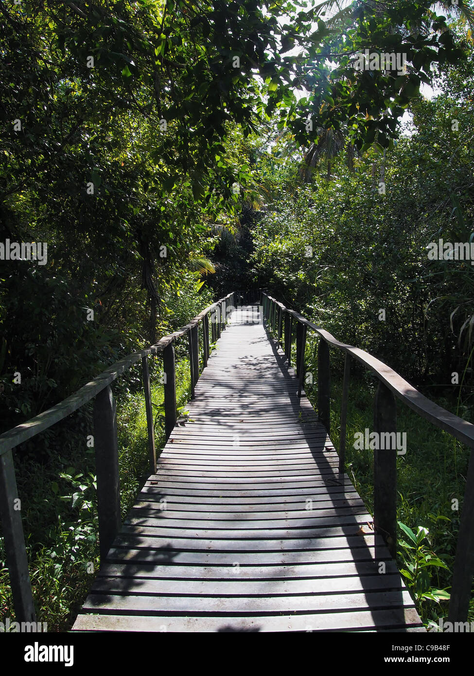 Bridge dans la jungle du parc national de Cahuita, Costa Rica, Caraïbes Banque D'Images