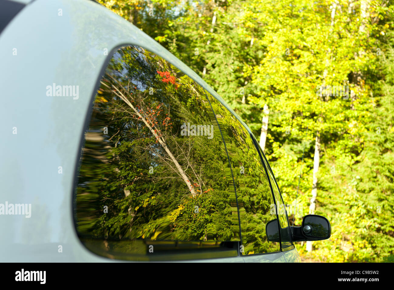 Reflet d'une forêt d'automne dans la voiture de verre Banque D'Images