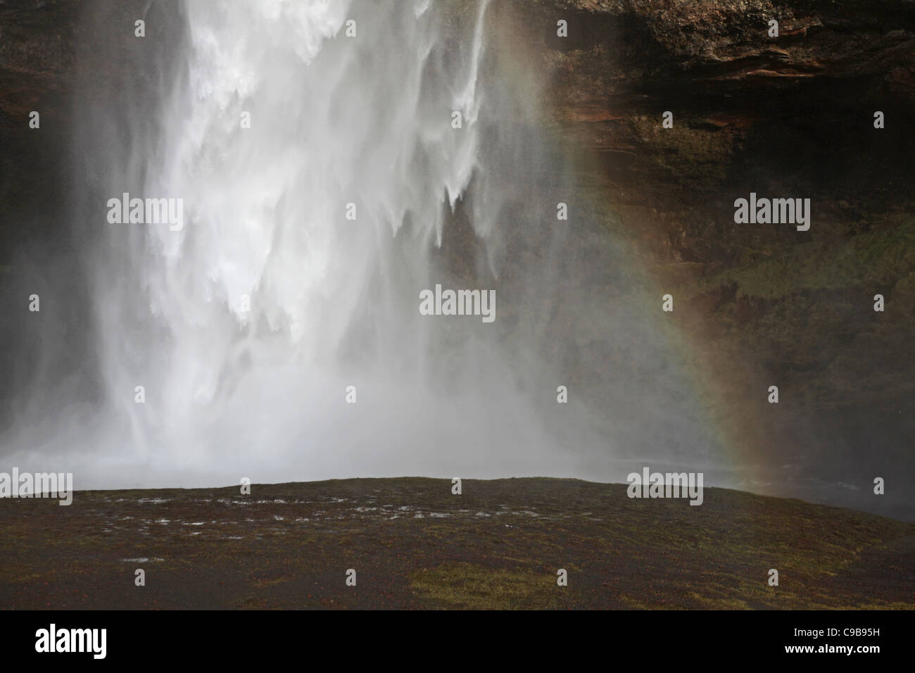 La partie inférieure de la cascade de Seljalandsfoss dans le sud de l'Islande Banque D'Images La partie inférieure de la cascade de Seljalandsfoss dans le sud de l'Islande Banque D'Images