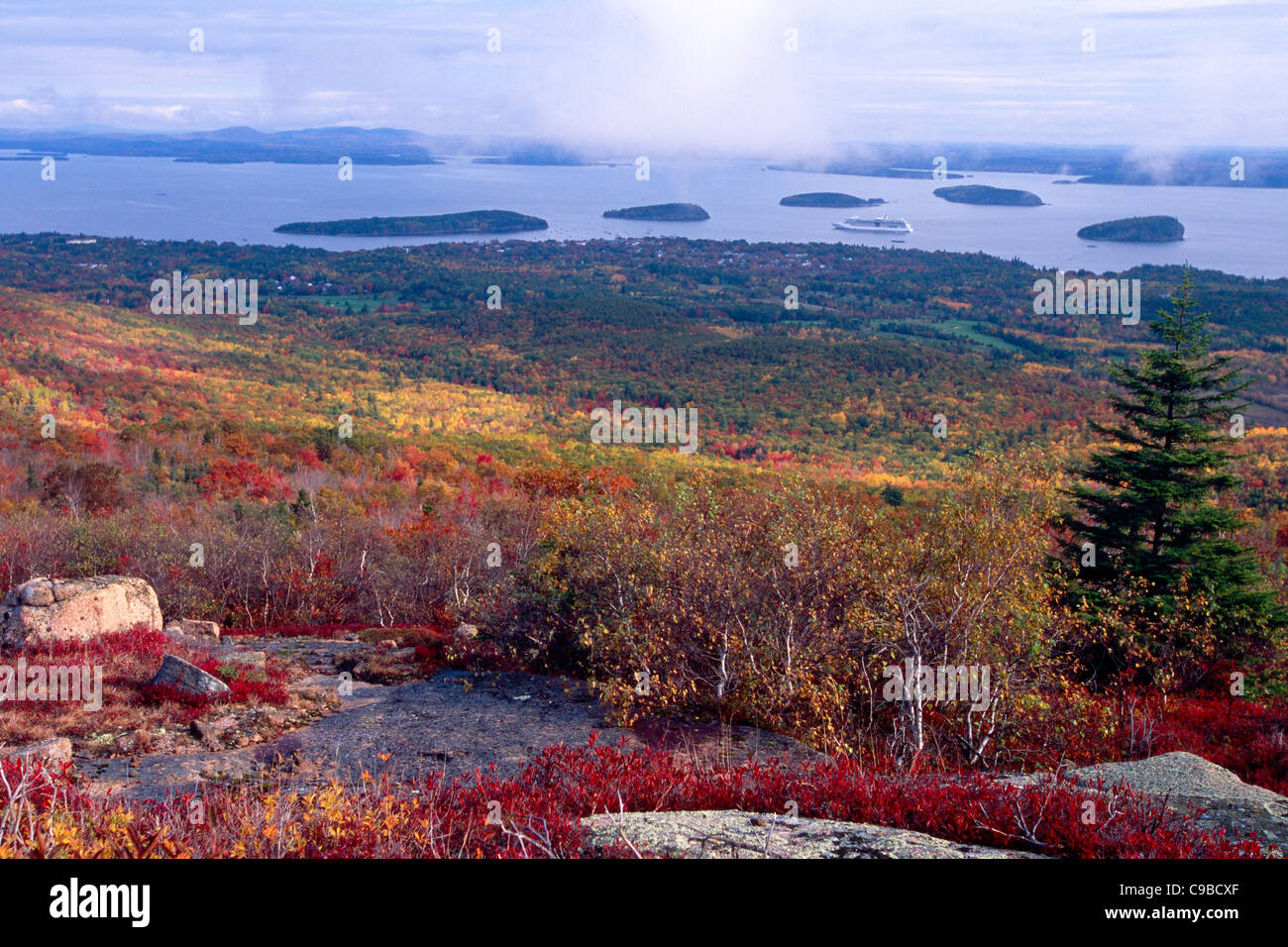 Autumn Vista de Bar Harbor, vue de Cadillac Mountain, Mt Desert Island, Maine Banque D'Images