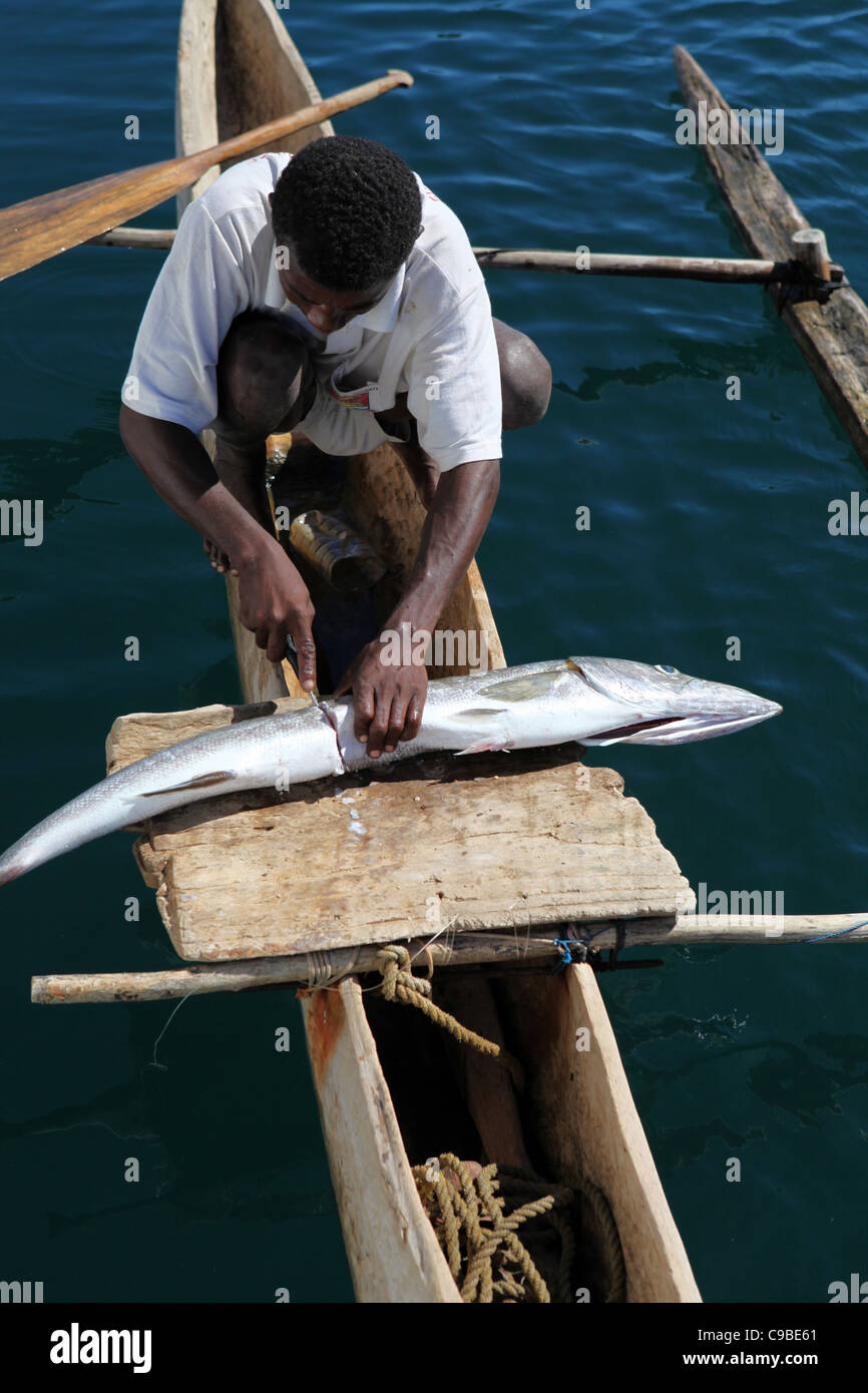 Un pêcheur malgache coupe un gros poisson en deux sur une planche de bois mince dans sa pirogue au large de l'île de Mamoko, Madagascar Banque D'Images