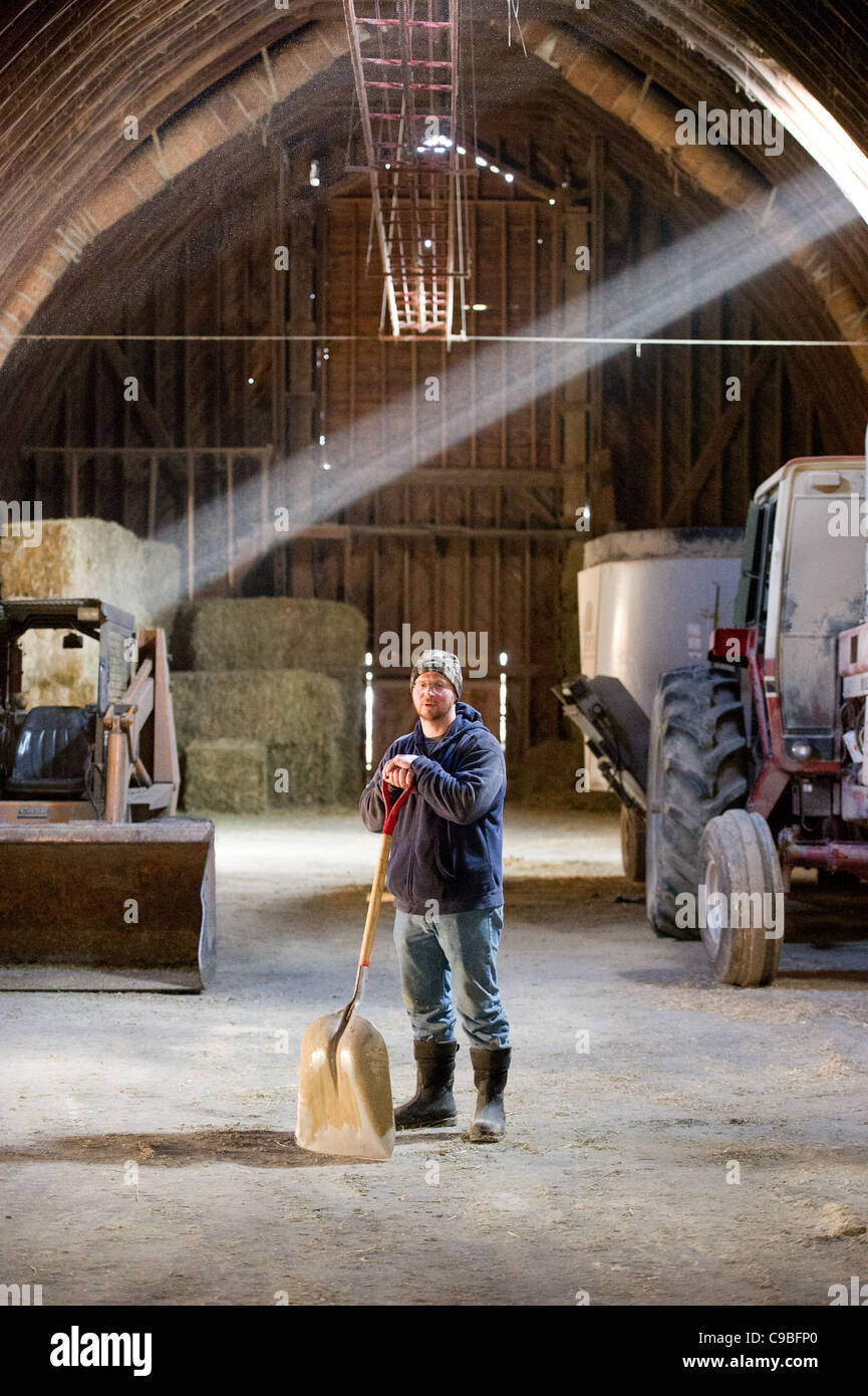 Producteur de lait, debout au milieu d'une grange avec lumière brillant à travers la fenêtre de la grange Banque D'Images