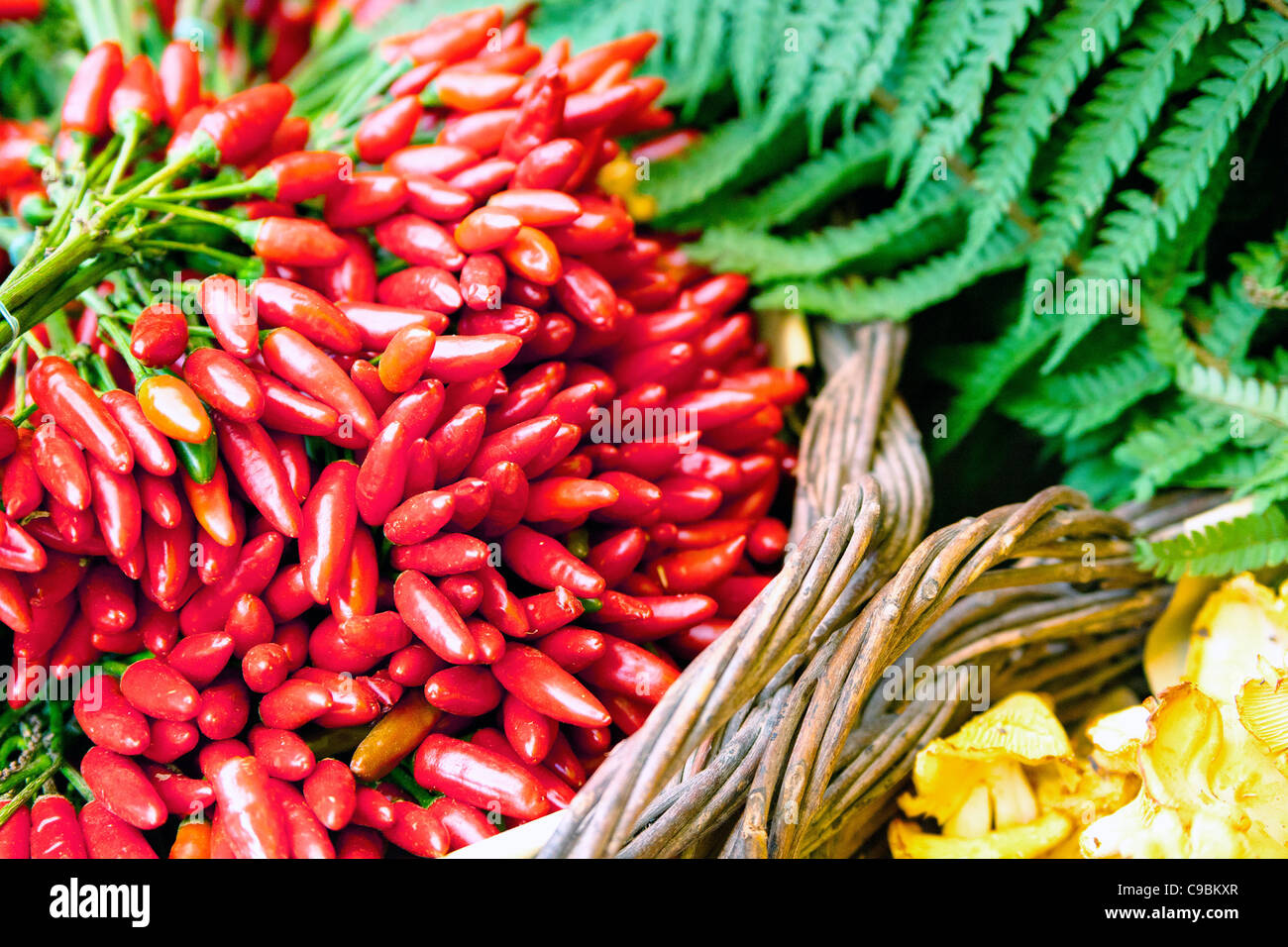 Red Hot Chili Peppers Banque D'Images