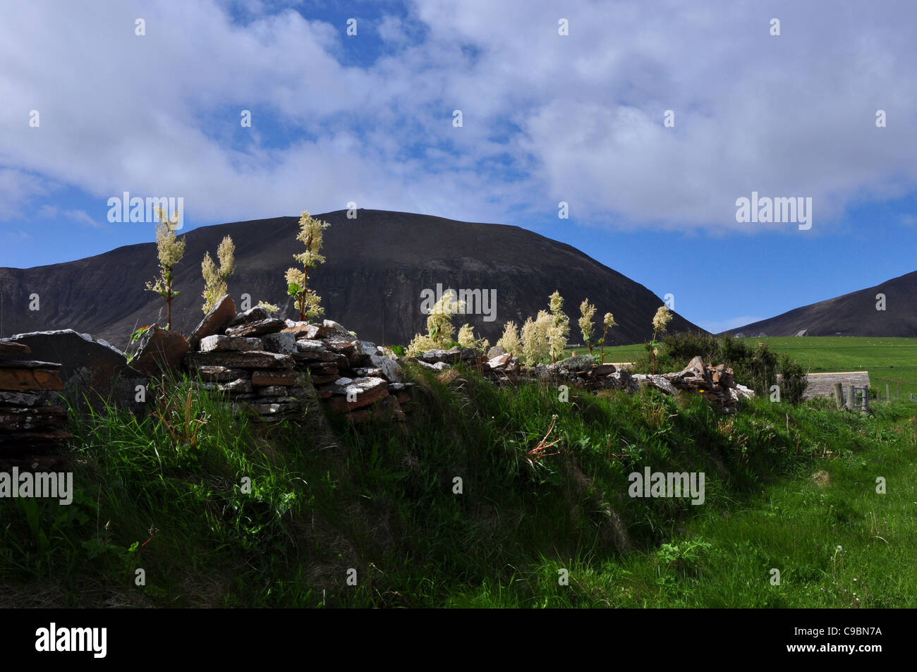 Le Ward Hill, l'île de Hoy, Orcades, en Écosse. Banque D'Images