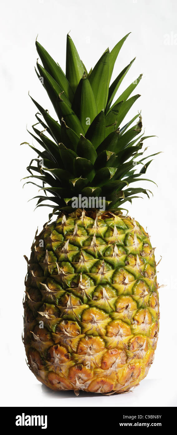 L'ananas sur fond blanc Banque D'Images