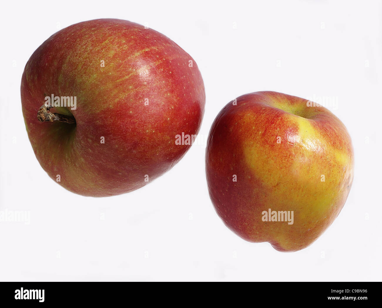 Deux pommes contre fond blanc Banque D'Images