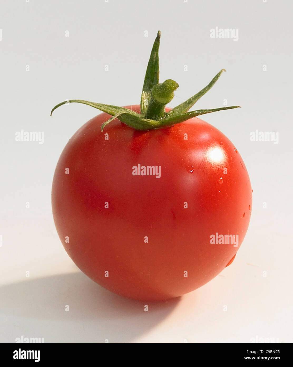Tomate sur fond blanc Banque D'Images