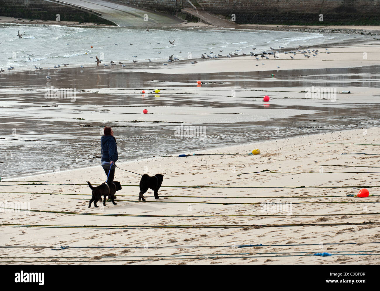 Une jeune femme marche deux chiens le long de la plage à St Ives en Cornouailles Banque D'Images