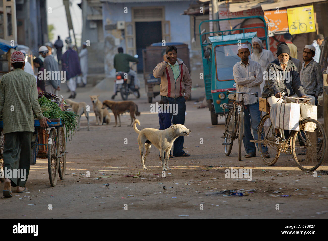 Street view en village de Sarod, état du Gujarat, en Inde. Banque D'Images