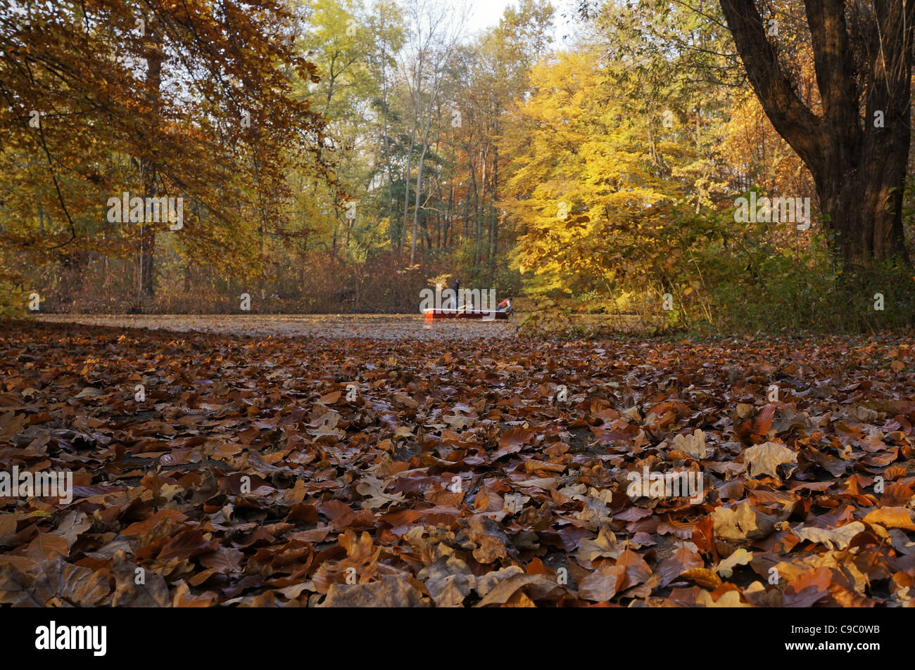 En Automne, lac de Tiergarten, Berlin, Allemagne Banque D'Images