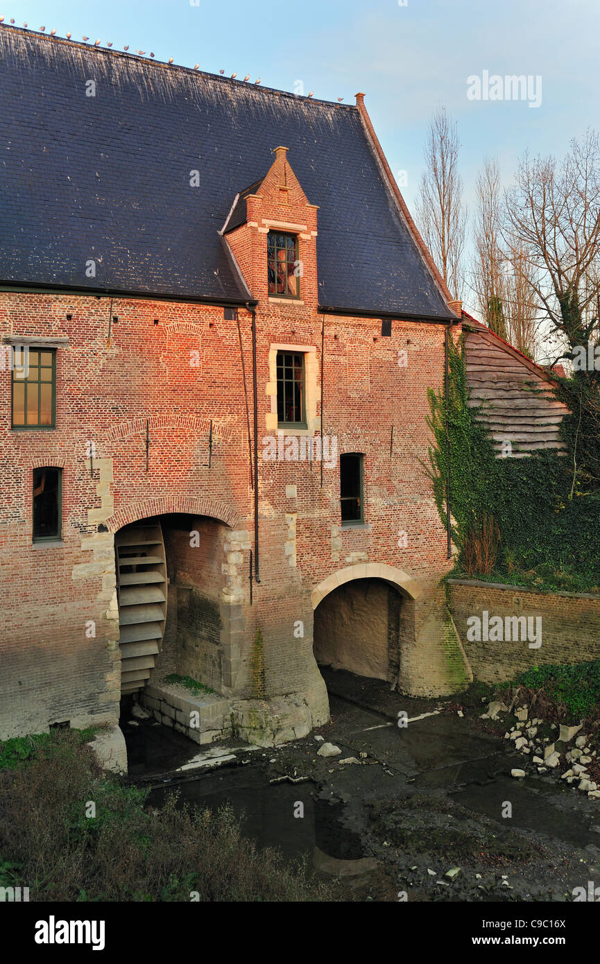 Moulin à marée médiévale / moulin à eau le long de l'Escaut à Rupelmonde, Belgique Banque D'Images