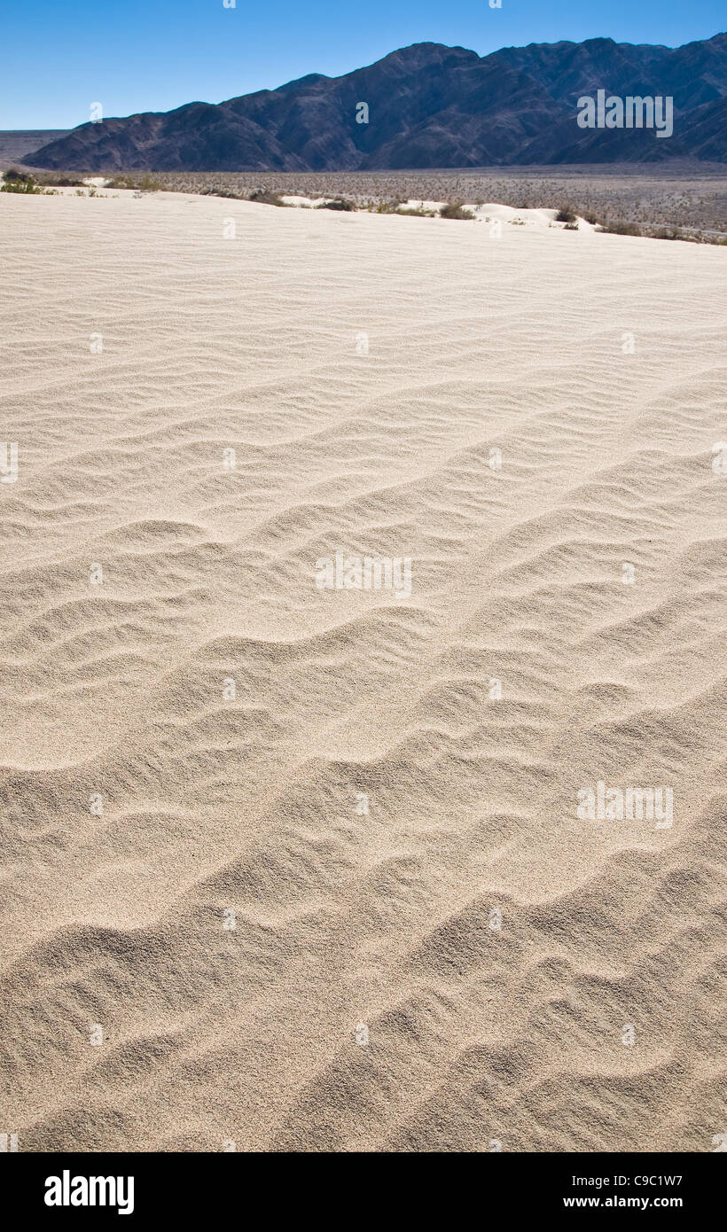 Dune de sable, Death Valley National Park, États-Unis Banque D'Images