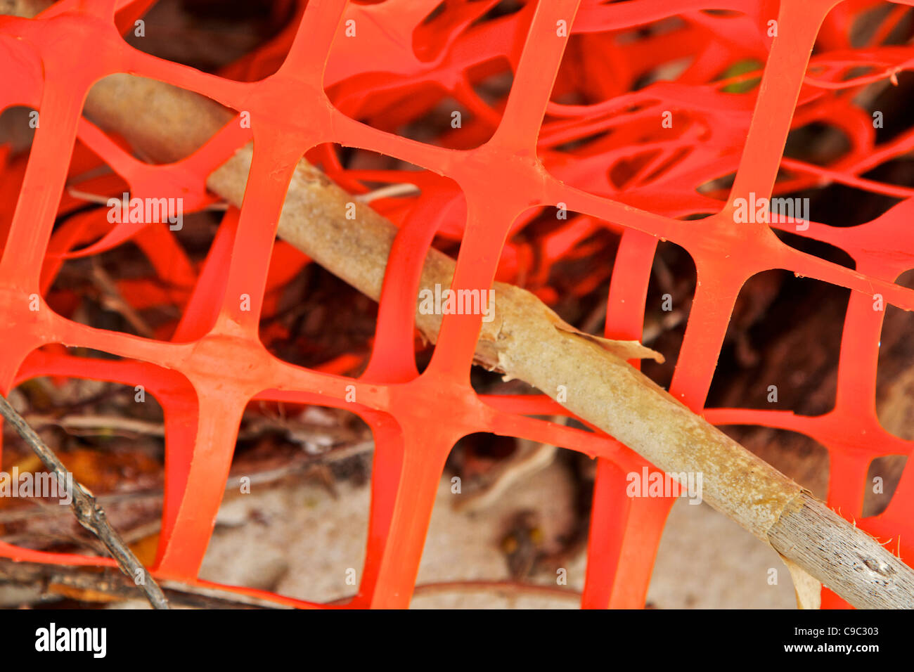 Tangled filet en plastique sur le rivage d'Paxtuent River, Maryland USA. Octobre 2011 Banque D'Images