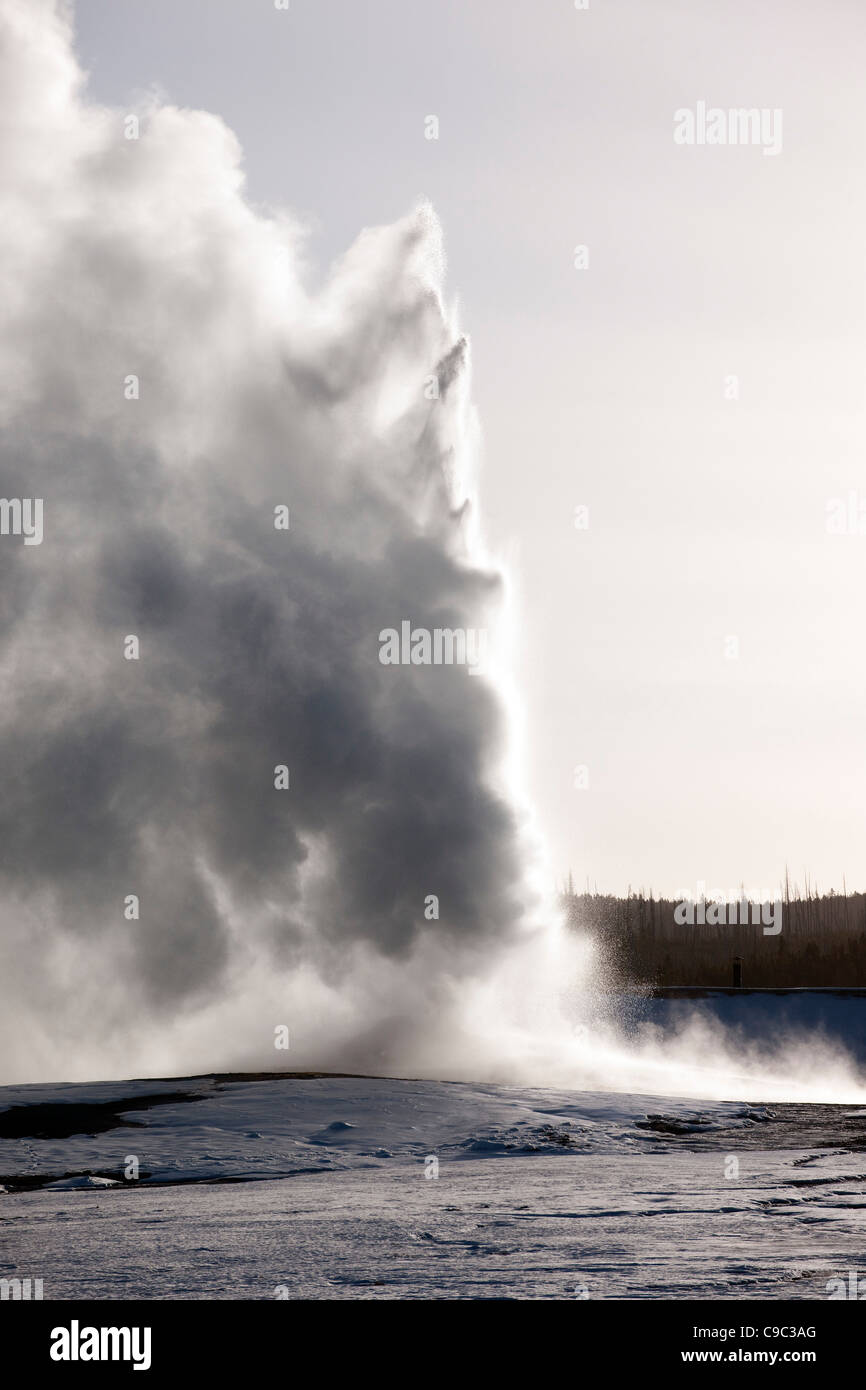 Old Faithful Geyser USA Banque D'Images