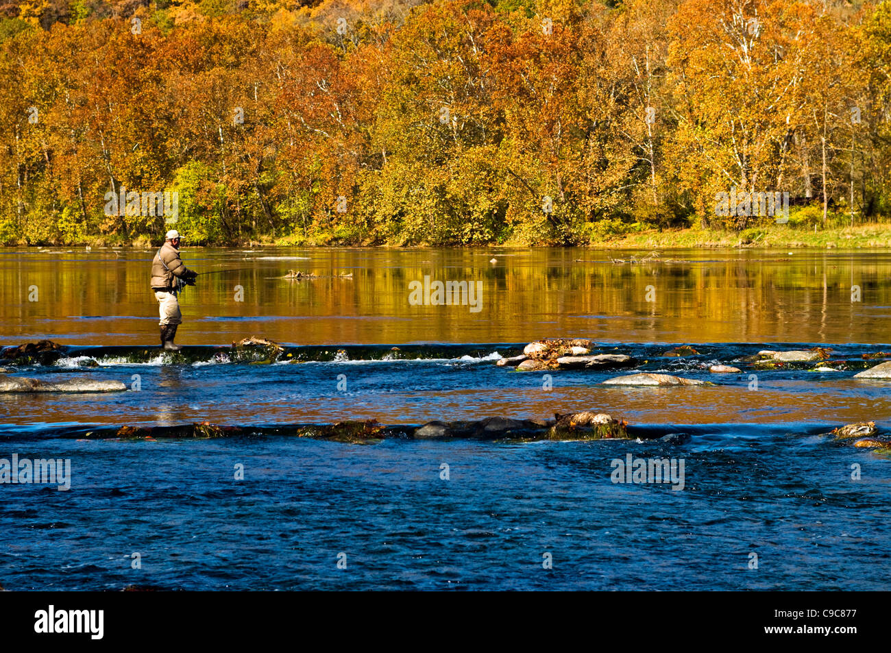 Un homme la pêche sur la rivière Shenandoah en automne. Banque D'Images
