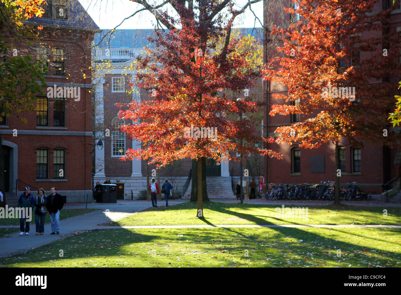 Les Scenic de Harvard Yard, le campus central de l'Université de Harvard, dans l'été indien l'automne. Banque D'Images