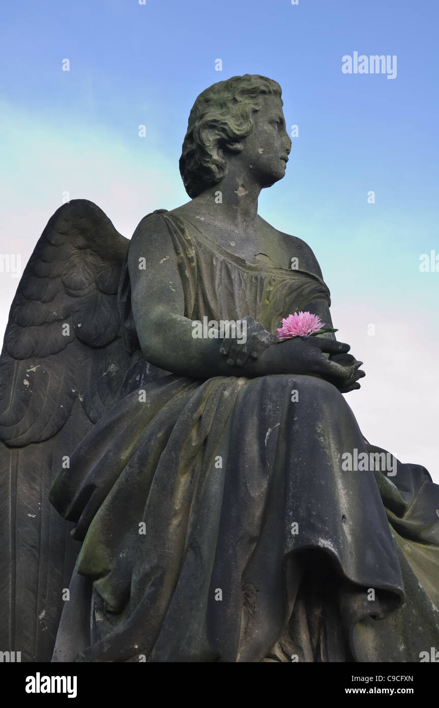 Un ange Sculpté en pierre tenant une fleur rose cueillies dans un cimetière de Glasgow. Banque D'Images