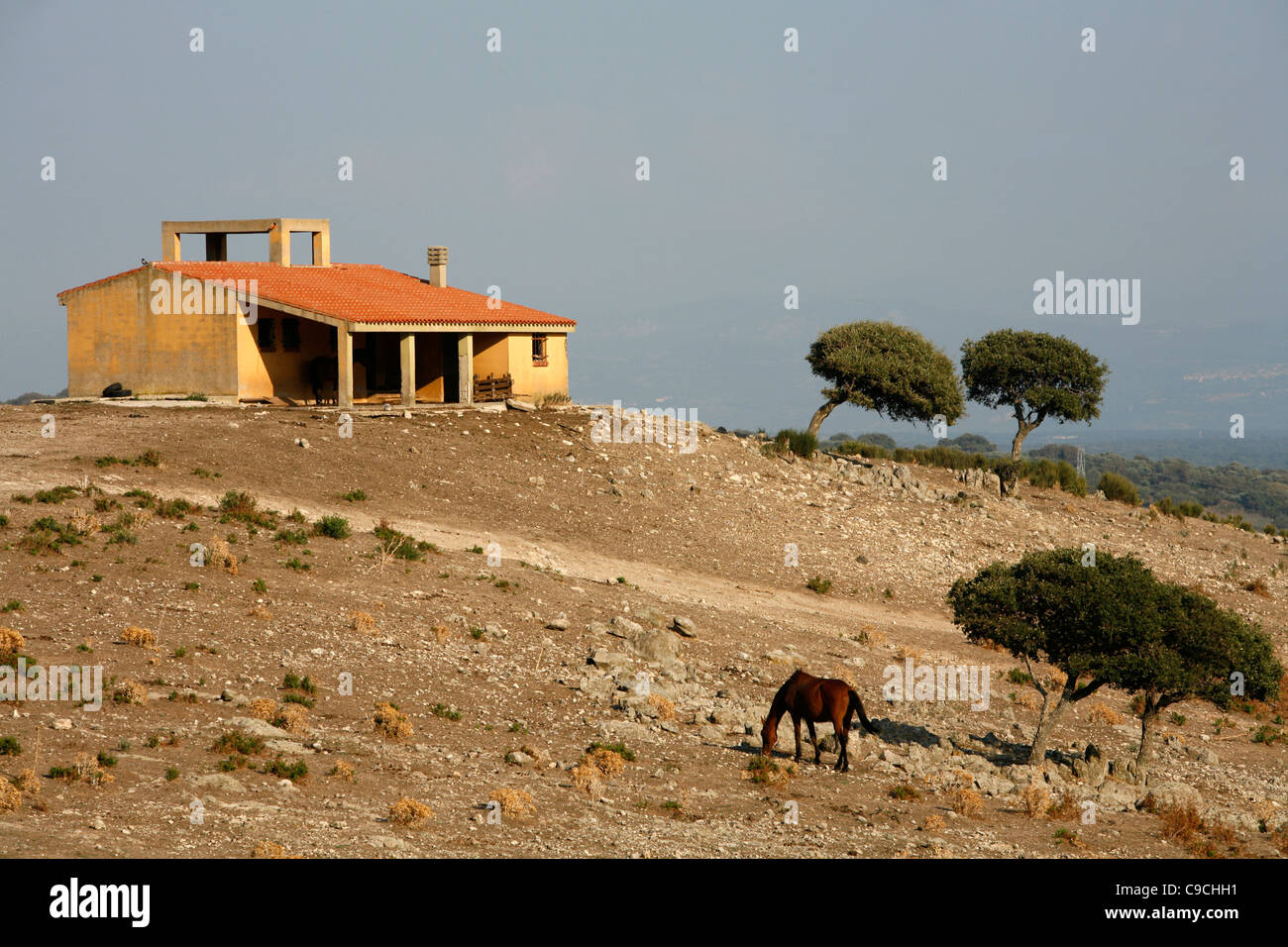 Paysage autour de Monti Ferru, Sardaigne, Italie. Banque D'Images