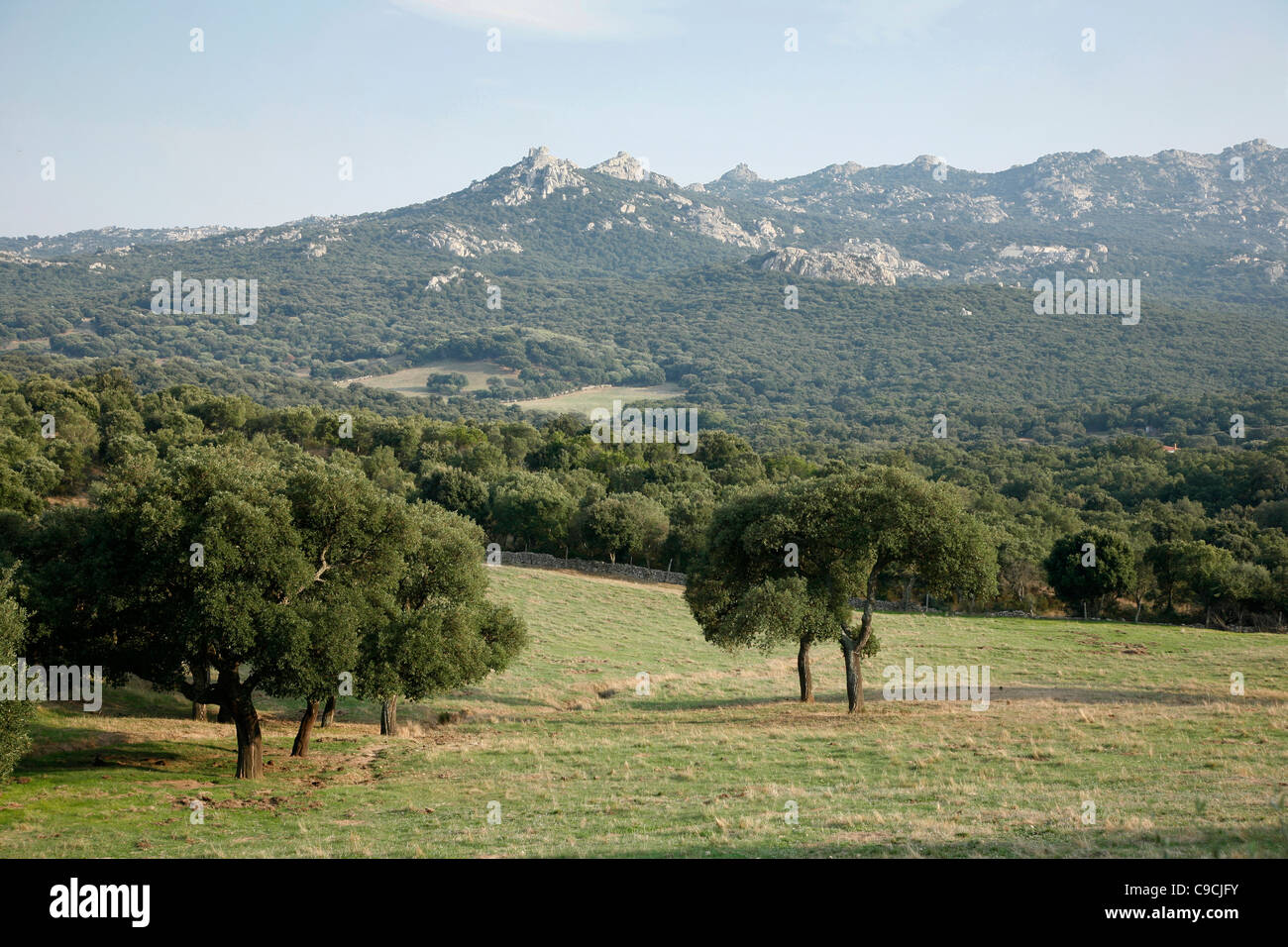 Paysage autour de la montagne Monte Limbara, Sardaigne, Italie. Banque D'Images