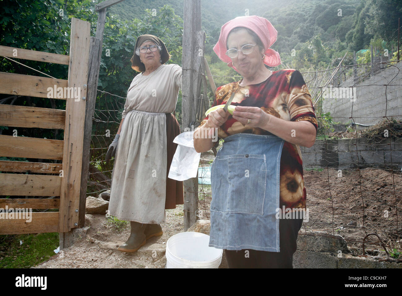 Les femmes avec costume traditionnel travaillant dans un champ près de Talana village dans la région de Gennargentu, Sardaigne, Italie. Banque D'Images